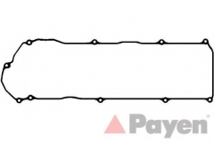 PAYEN JM5245 Прокладка клапанной крышки