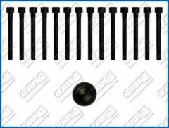AJUSA 81008900 Комплект болтов ГБЦ