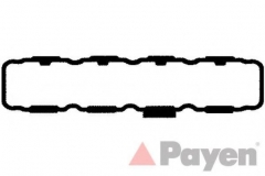 PAYEN JM5086 Прокладка клапанной крышки