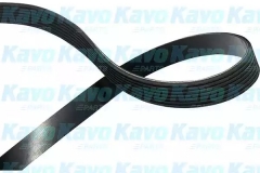 KAVO PARTS DMV-6554 Поликлиновой ремень