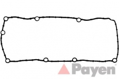 PAYEN JM5131 Прокладка клапанной крышки
